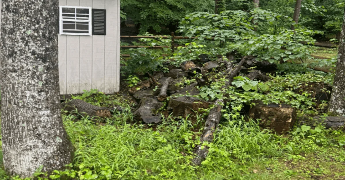 Alvarado Landscaping crew responding to a storm-damaged tree on a home in Fredericksburg, Virginia